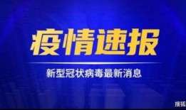 鼎丰集团爆料事件视频播放,事件全解析